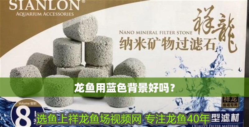 龍魚用藍(lán)色背景好嗎？