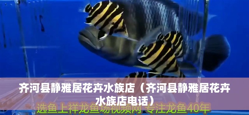 齊河縣靜雅居花卉水族店（齊河縣靜雅居花卉水族店電話）