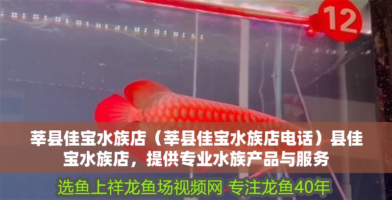 莘縣佳寶水族店（莘縣佳寶水族店電話）縣佳寶水族店，提供專業(yè)水族產(chǎn)品與服務(wù)