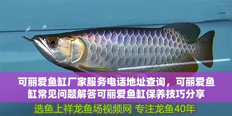 可麗愛魚缸廠家服務電話地址查詢，可麗愛魚缸常見問題解答可麗愛魚缸保養技巧分享