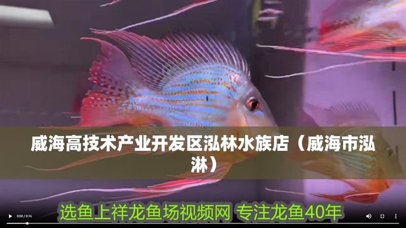 威海高技術產業開發區泓林水族店（威海市泓淋）