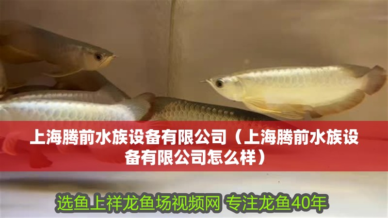 上海騰前水族設(shè)備有限公司（上海騰前水族設(shè)備有限公司怎么樣）