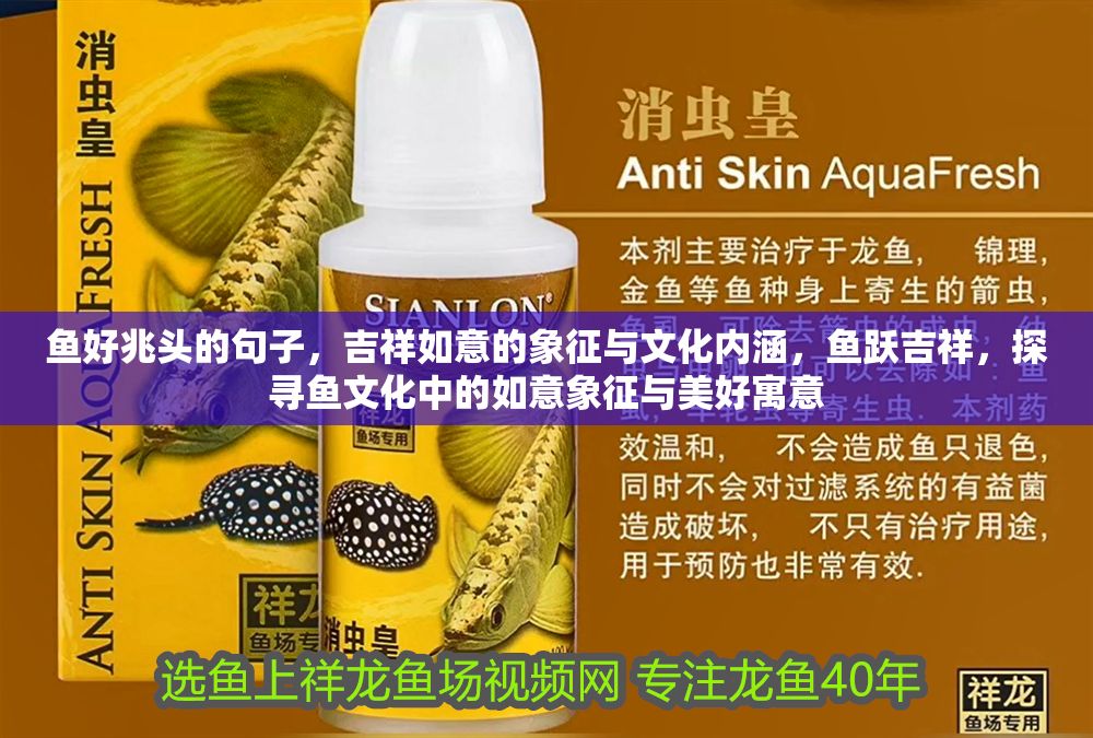 魚好兆頭的句子，吉祥如意的象征與文化內涵，魚躍吉祥，探尋魚文化中的如意象征與美好寓意