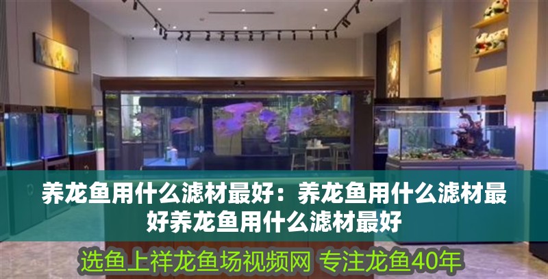 養(yǎng)龍魚用什么濾材最好：養(yǎng)龍魚用什么濾材最好養(yǎng)龍魚用什么濾材最好