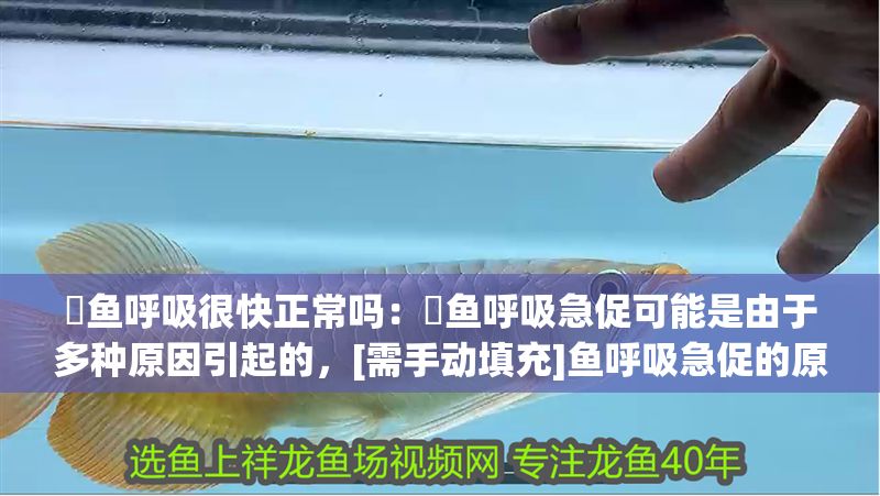 魟魚呼吸很快正常嗎：魟魚呼吸急促可能是由于多種原因引起的，[需手動填充]魚呼吸急促的原因
