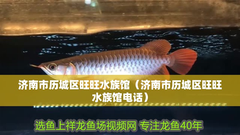 濟南市歷城區(qū)旺旺水族館（濟南市歷城區(qū)旺旺水族館電話）