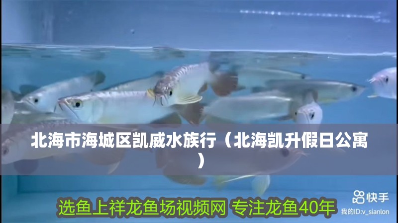 北海市海城區凱威水族行（北海凱升假日公寓）