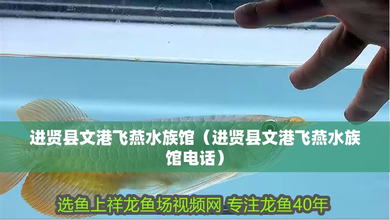 進(jìn)賢縣文港飛燕水族館（進(jìn)賢縣文港飛燕水族館電話）