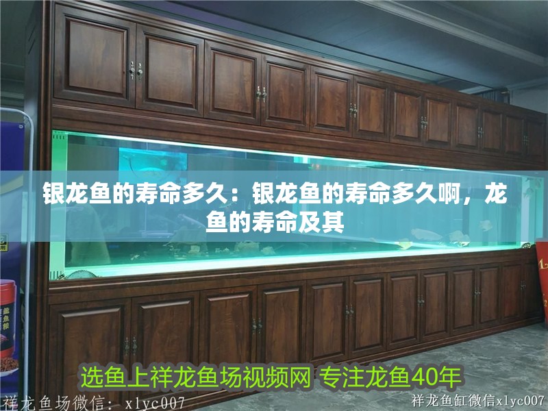銀龍魚的壽命多久：銀龍魚的壽命多久啊，龍魚的壽命及其