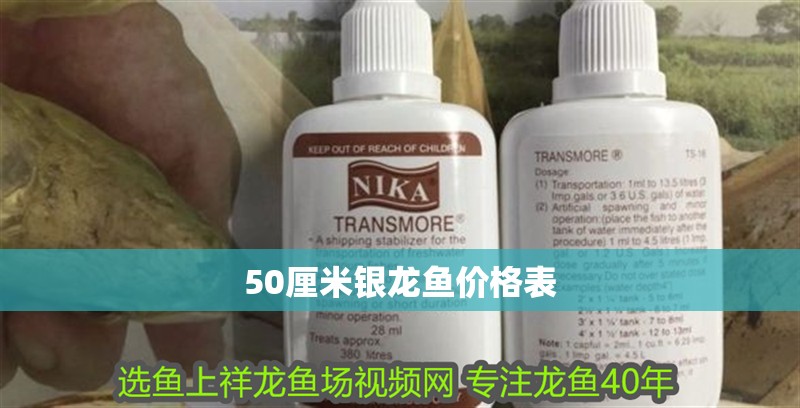 50厘米銀龍魚價格表