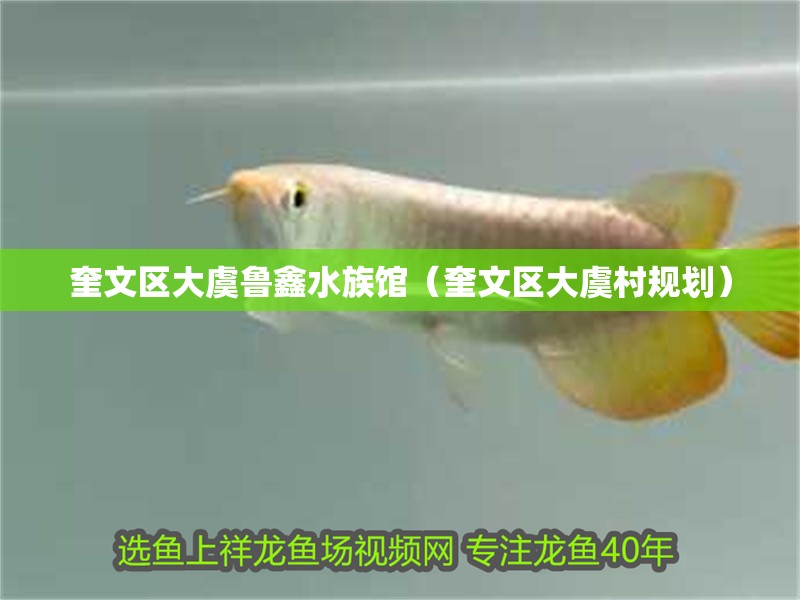奎文區大虞魯鑫水族館（奎文區大虞村規劃）
