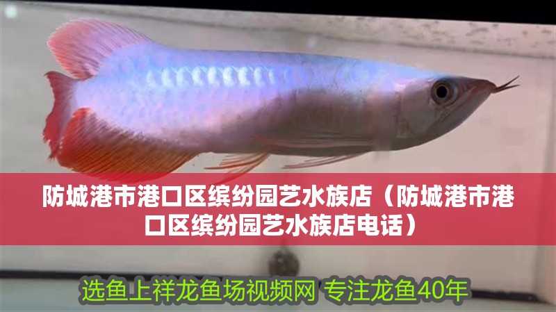 防城港市港口區繽紛園藝水族店（防城港市港口區繽紛園藝水族店電話）