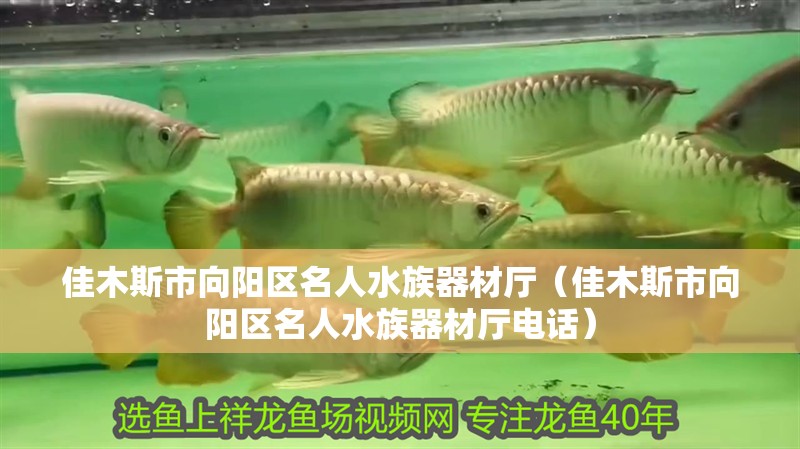 佳木斯市向陽區名人水族器材廳（佳木斯市向陽區名人水族器材廳電話）