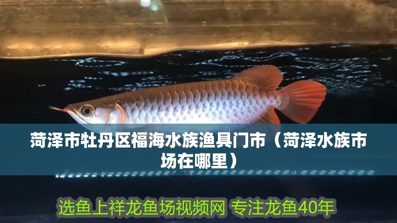 菏澤市牡丹區福海水族漁具門市（菏澤水族市場在哪里）