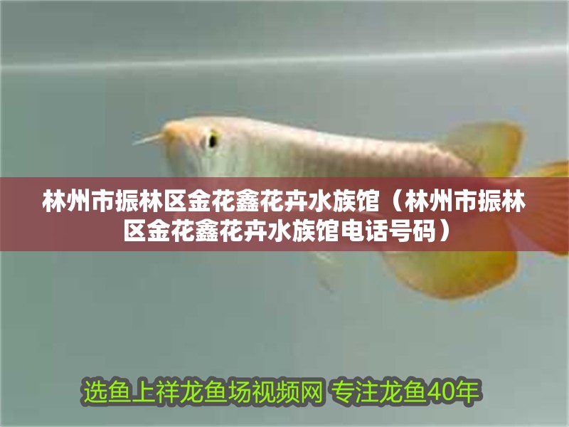 林州市振林區金花鑫花卉水族館（林州市振林區金花鑫花卉水族館電話號碼）