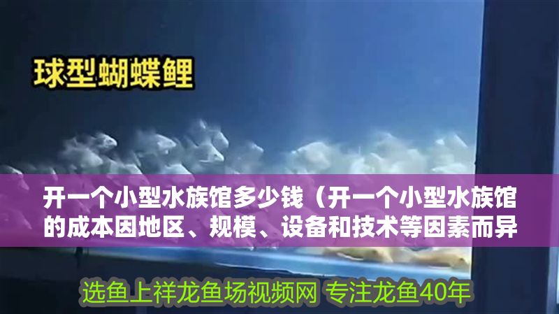 開一個小型水族館多少錢（開一個小型水族館的成本因地區(qū)、規(guī)模、設(shè)備和技術(shù)等因素而異）