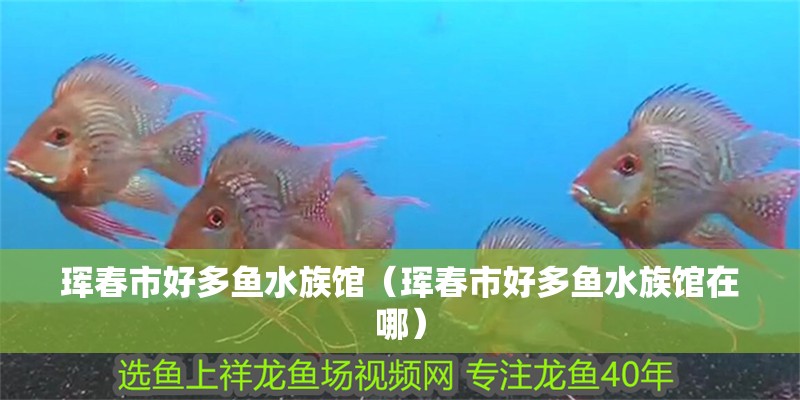 琿春市好多魚(yú)水族館（琿春市好多魚(yú)水族館在哪）