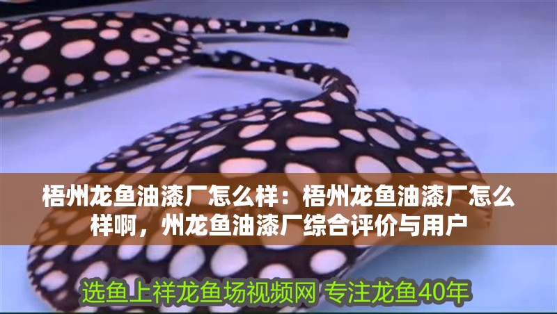 梧州龍魚油漆廠怎么樣：梧州龍魚油漆廠怎么樣啊，州龍魚油漆廠綜合評價與用戶