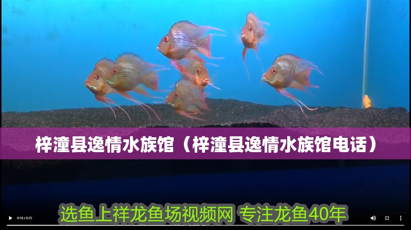 梓潼縣逸情水族館（梓潼縣逸情水族館電話）