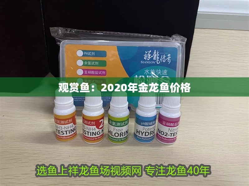 觀賞魚：2020年金龍魚價格