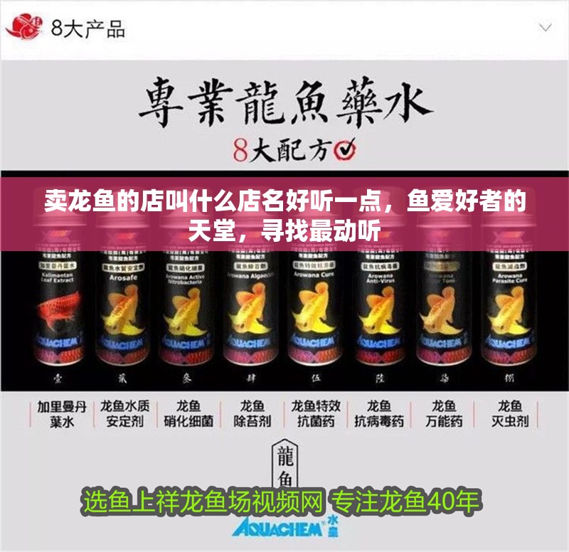 賣龍魚的店叫什么店名好聽一點，魚愛好者的天堂，尋找最動聽