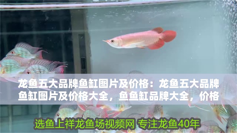 龍魚五大品牌魚缸圖片及價格：龍魚五大品牌魚缸圖片及價格大全，魚魚缸品牌大全，價格與圖片一覽