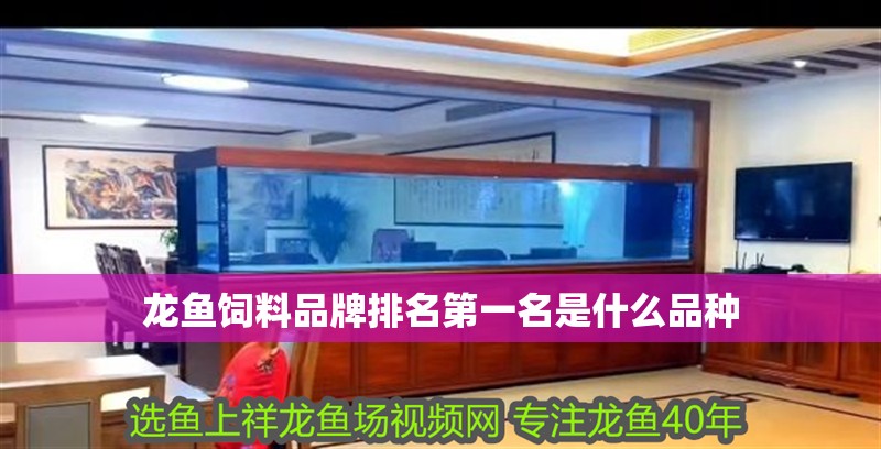 龍魚(yú)飼料品牌排名第一名是什么品種