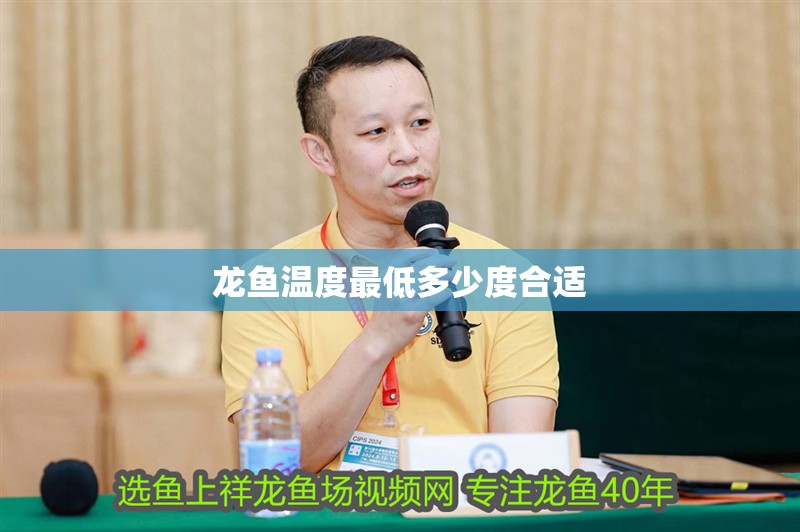 龍魚溫度最低多少度合適