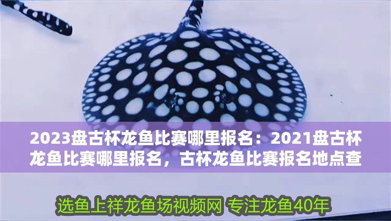2023盤古杯龍魚比賽哪里報名：2021盤古杯龍魚比賽哪里報名，古杯龍魚比賽報名地點查詢（2021 & 2023）