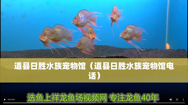道縣日勝水族寵物館（道縣日勝水族寵物館電話）