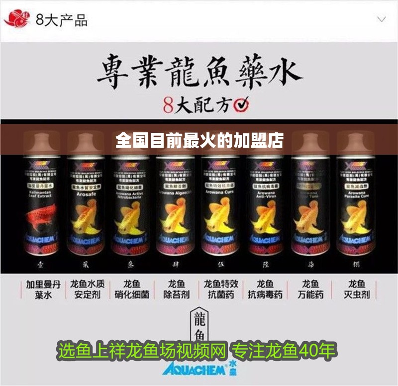 全國目前最火的加盟店