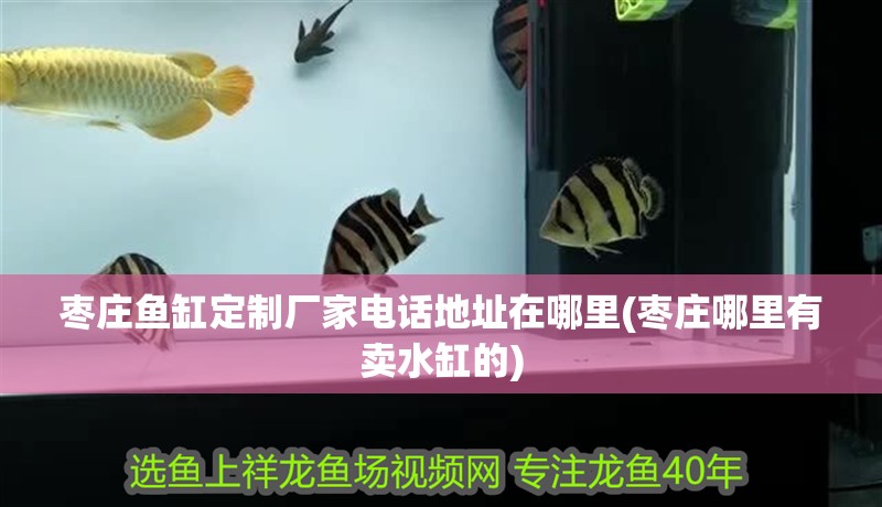 棗莊魚缸定制廠家電話地址在哪里(棗莊哪里有賣水缸的)