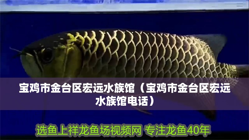 寶雞市金臺區宏遠水族館（寶雞市金臺區宏遠水族館電話）