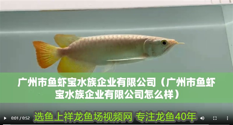 廣州市魚蝦寶水族企業有限公司（廣州市魚蝦寶水族企業有限公司怎么樣）