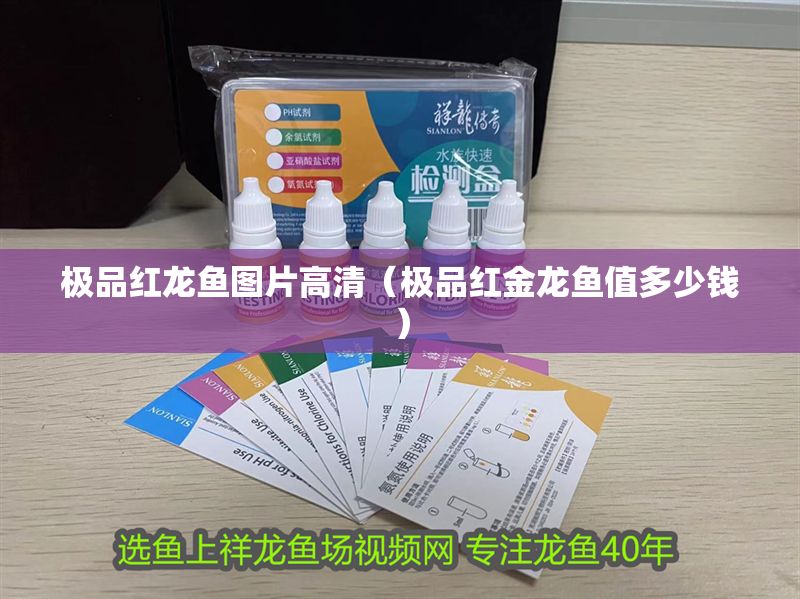 極品紅龍魚(yú)圖片高清（極品紅金龍魚(yú)值多少錢）