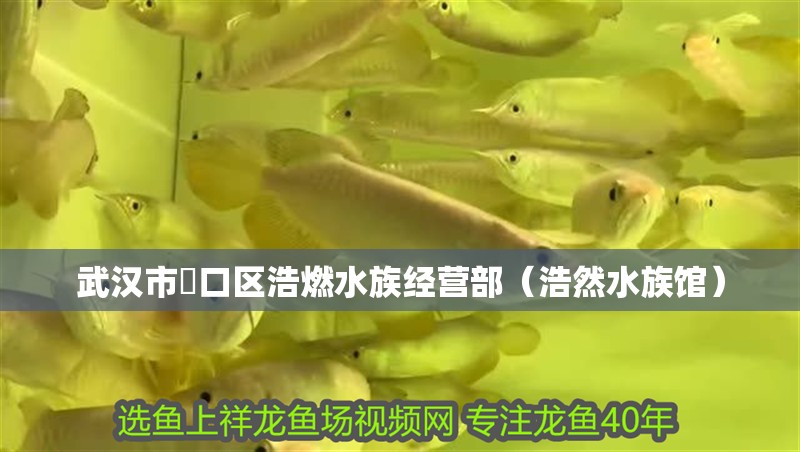 武漢市硚口區(qū)浩燃水族經(jīng)營(yíng)部（浩然水族館）