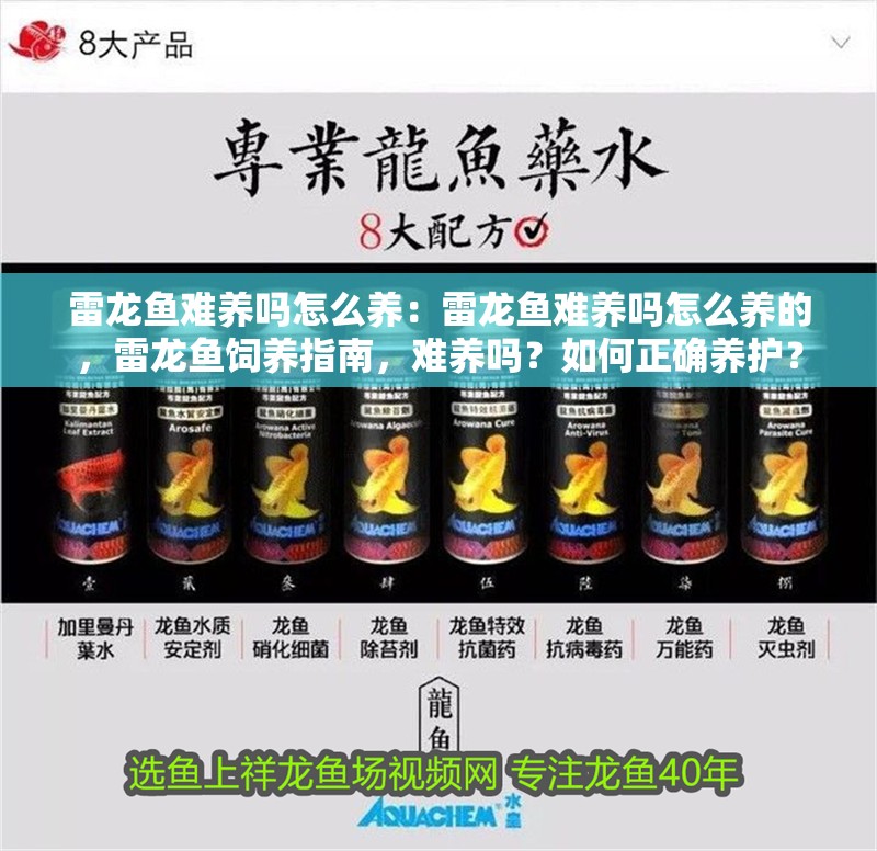 雷龍魚難養嗎怎么養：雷龍魚難養嗎怎么養的，雷龍魚飼養指南，難養嗎？如何正確養護？