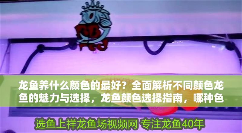 龍魚(yú)養(yǎng)什么顏色的最好？全面解析不同顏色龍魚(yú)的魅力與選擇，龍魚(yú)顏色選擇指南，哪種色彩最具魅力與價(jià)值？