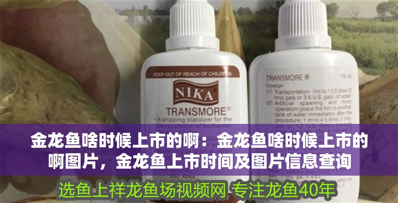 金龍魚啥時候上市的啊：金龍魚啥時候上市的啊圖片，金龍魚上市時間及圖片信息查詢