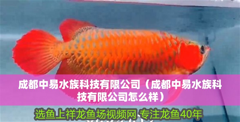 成都中易水族科技有限公司(成都中易水族科技有限公司怎么樣) 全國水族館企業(yè)名錄 第2張 成都中易水族科技有限公司(成都中易水族科技有限公司怎么樣) 成都中易水族科技有限公司(成都中易水族科技有限公司怎么樣) 全國水族館企業(yè)名錄 第2張