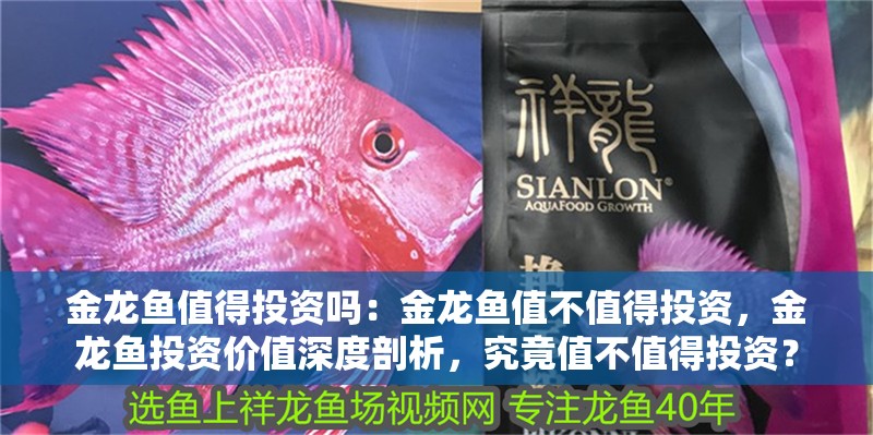 金龍魚值得投資嗎：金龍魚值不值得投資，金龍魚投資價值深度剖析，究竟值不值得投資？