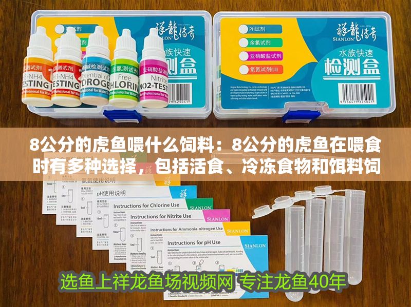 8公分的虎魚喂什么飼料：8公分的虎魚在喂食時(shí)有多種選擇，包括活食、冷凍食物和餌料飼料 8公分的虎魚喂什么飼料：8公分的虎魚在喂食時(shí)有多種選擇，包括活食、冷凍食物和餌料飼料 虎魚百科 第2張
