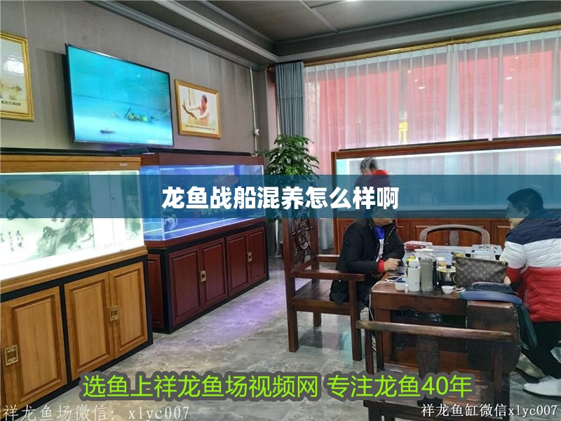 龍魚戰船混養怎么樣啊