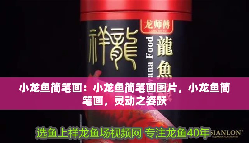 小龍魚簡(jiǎn)筆畫：小龍魚簡(jiǎn)筆畫圖片，小龍魚簡(jiǎn)筆畫，靈動(dòng)之姿躍