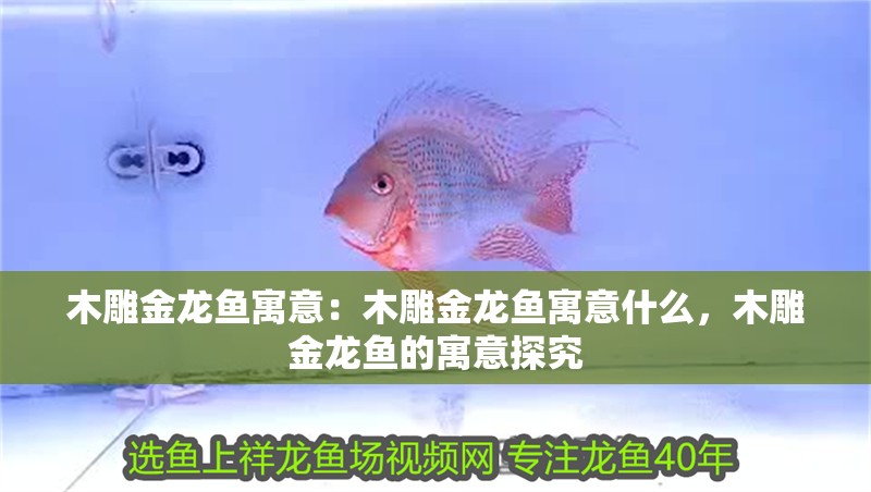 木雕金龍魚(yú)寓意：木雕金龍魚(yú)寓意什么，木雕金龍魚(yú)的寓意探究