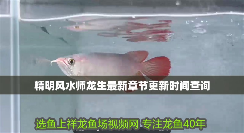 精明風水師龍生最新章節(jié)更新時間查詢