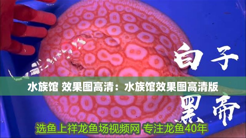 水族館 效果圖高清：水族館效果圖高清版