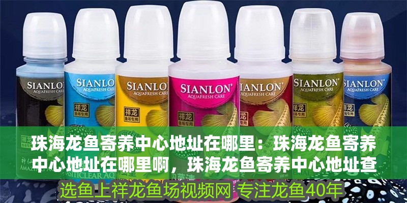 珠海龍魚寄養中心地址在哪里：珠海龍魚寄養中心地址在哪里啊，珠海龍魚寄養中心地址查詢
