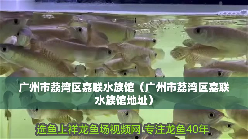 廣州市荔灣區(qū)嘉聯(lián)水族館（廣州市荔灣區(qū)嘉聯(lián)水族館地址）