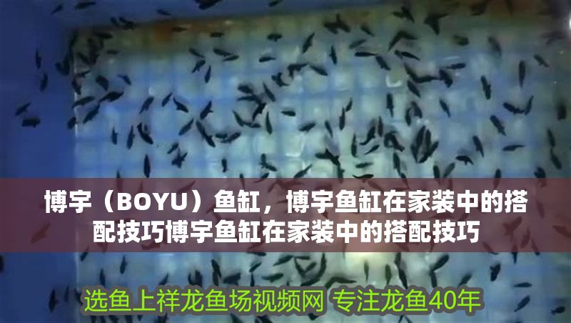 博宇（BOYU）魚缸，博宇魚缸在家裝中的搭配技巧博宇魚缸在家裝中的搭配技巧